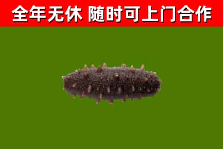 丹东烟酒回收干海参.jpg